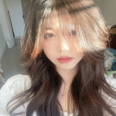 绽放的玫瑰
